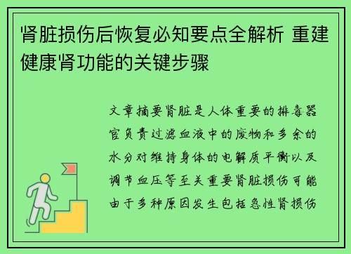 肾脏损伤后恢复必知要点全解析 重建健康肾功能的关键步骤