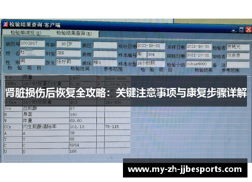肾脏损伤后恢复全攻略：关键注意事项与康复步骤详解
