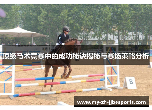 顶级马术竞赛中的成功秘诀揭秘与赛场策略分析